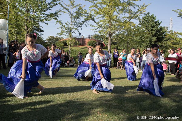 アースなあの人:日本マリネラ協会 高林麻子さん(写真3)